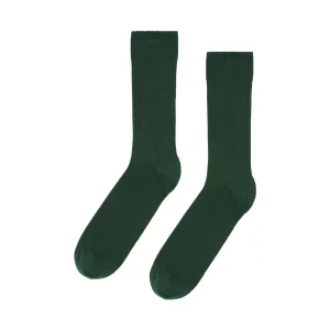 Colorful Standard Classic Sock Emerald Green Mens